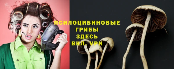 мдпв Вязники