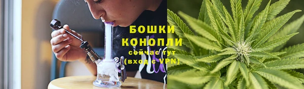 мдпв Вязники
