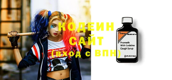 ешки Вяземский