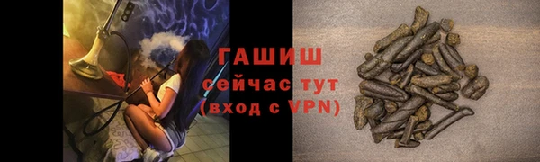 гидра Горнозаводск